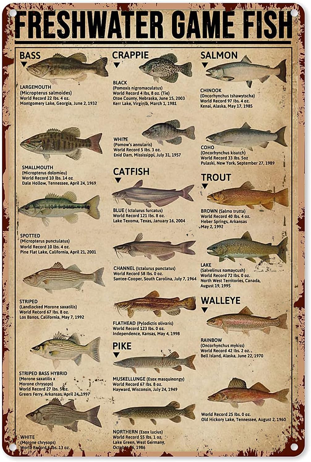 Y1,Fishing Art Posters Metal S - Home Improvement Game recension och pris